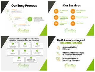 CaseMark Financial - LinkedIn Social Graphics - Infographics